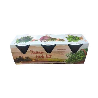 Kit Ervas Aromáticas