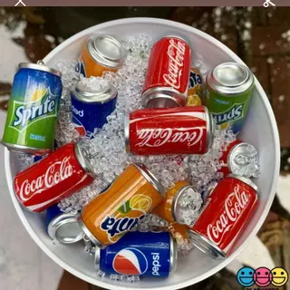 Bebida (330 ml.)