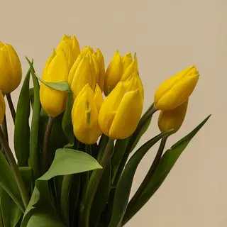 Ramo de 10 tulipanes amarillos 