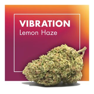 Vibration (Lemon Haze) 10Gr. 15% CBD