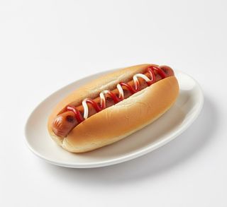 Cachorro