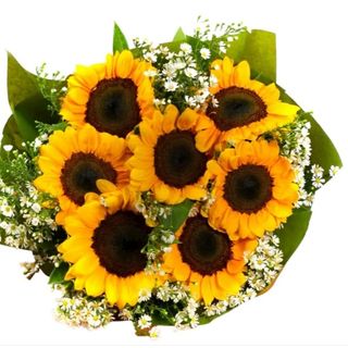 Bouquet  girasoli  