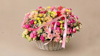 Blooming Flowers Luxe Collection 