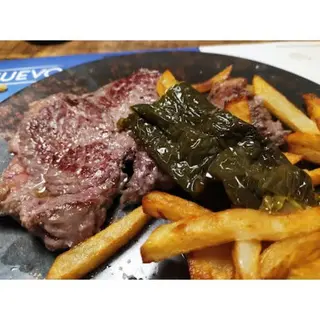 Lagarto Ibérico