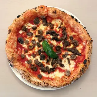 Funghi