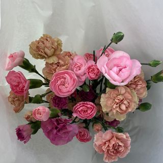 Bukiet pastelowych goździków mały 