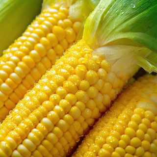 Kukurydza