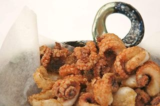 Filetes de Polvo Panado