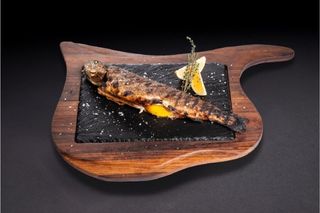 Балканска пъстърва на BBQ