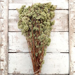 Origano mazzo 