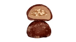 Моті Снікерс