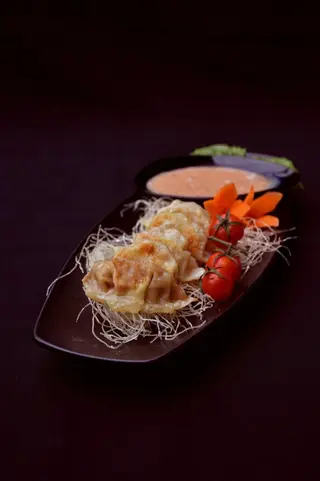 Pork Gyoza 5 komada