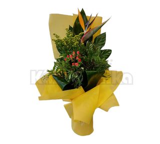 Buket - Rajska ptica sa dekoracijom (BKT 153)