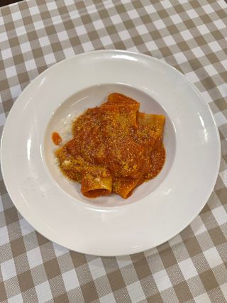 Paccheri all'amatriciana