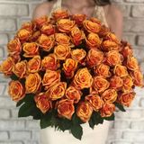 Акция! 51 оранжевая роза с оформлением