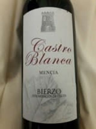 VINO MENCÍA D.O. BIERZO 75 CL