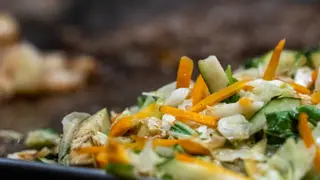 Sizzling Vegetables