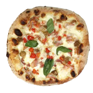 Porcini 2