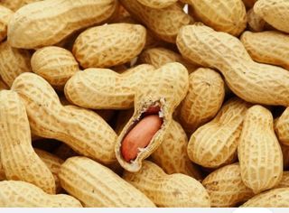 Arachidi in guscio 100gr