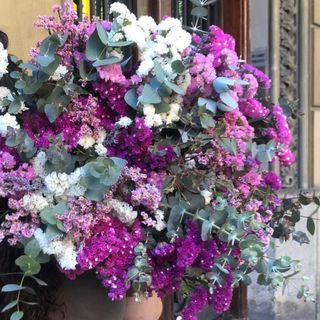 Ramo Para Dejar Secar