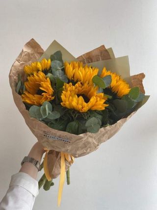 მზესუმზირა