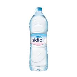 Sidi Ali 1L