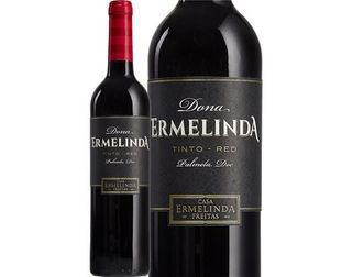 Garrafa de Vinho Tinto