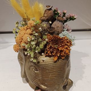 Arreglo seco/preservado  "elefante"