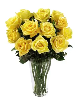 12 Rose gialle  