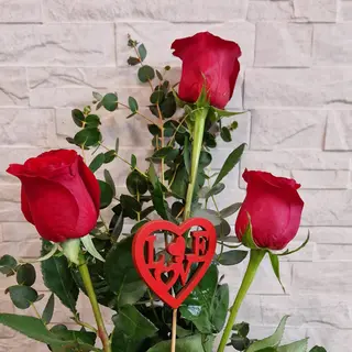 AMOR