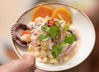 Ceviche Mixto