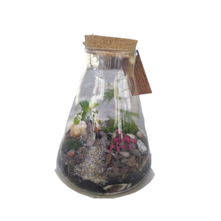 Jardín eterno 27 x 23