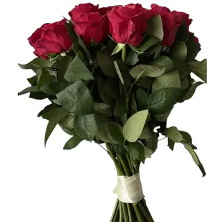 Elegant Crimson Red