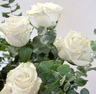 7 Rose bianche 70-80 cm