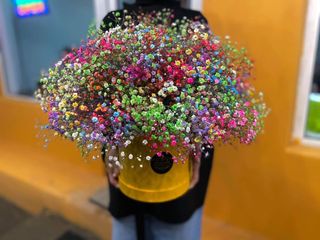 თაიგული 2