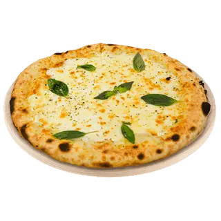 Provola