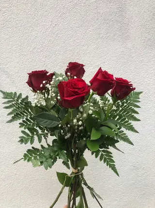 5 Rosas Rojas