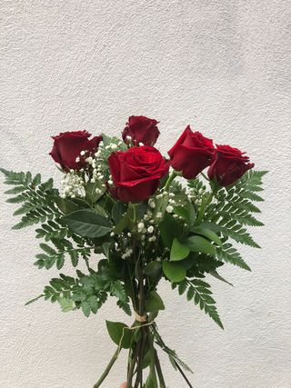 5 Rosas Rojas