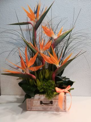 Caixa de Madeira com Estrelícias