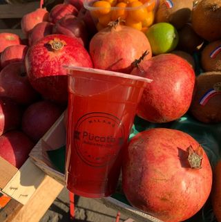 S21/Oolong melograno