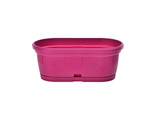 Сандъче, циклама, средно