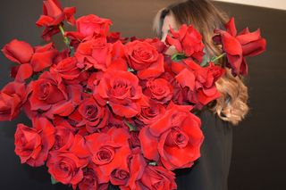 Modern Red Roses