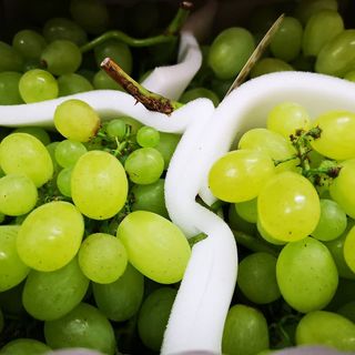 Uva bianca 