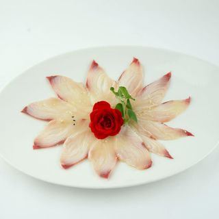 62 Carpaccio suzuki