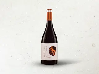 Sapiens Orange Rkatsiteli