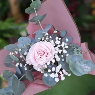 Rosa Rosa "Las Delicias"
