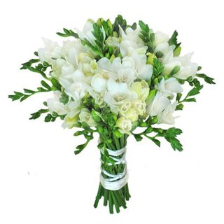 Buchet 17 frezia albe