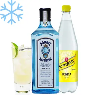 Gin Tonic Bombay