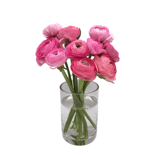 Ramo de 10 ranunculos