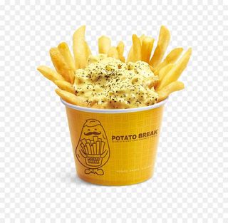 Fries and Cheese